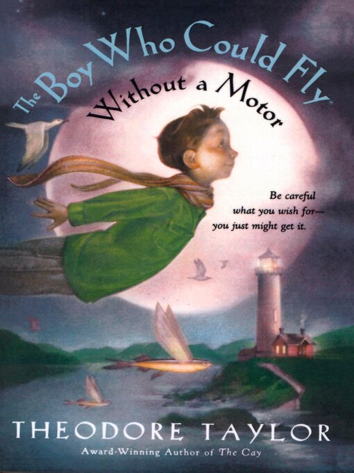 Title details for The Boy Who Could Fly without a Motor by Theodore Taylor - Available